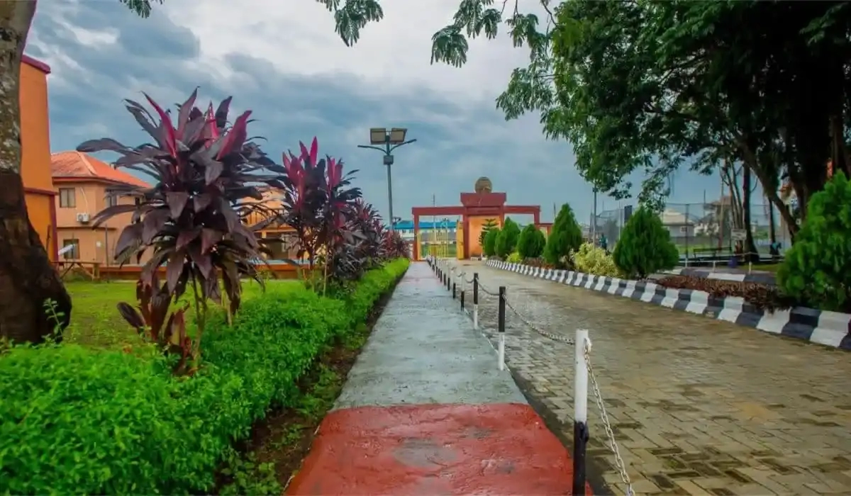 Eko University of Medical and Health Sciences