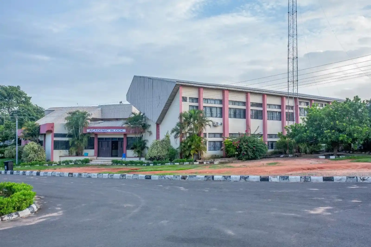 Renaissance University