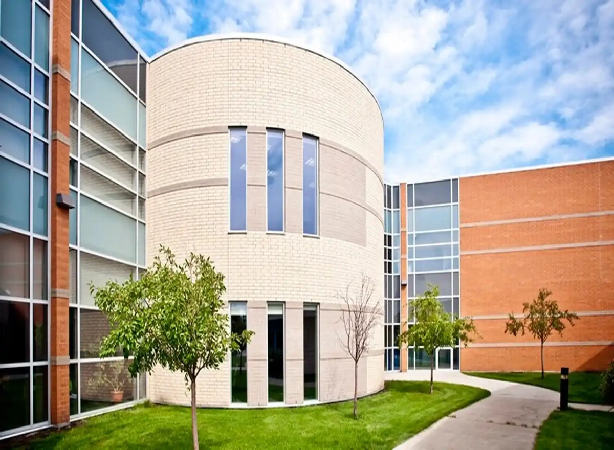 The King's University