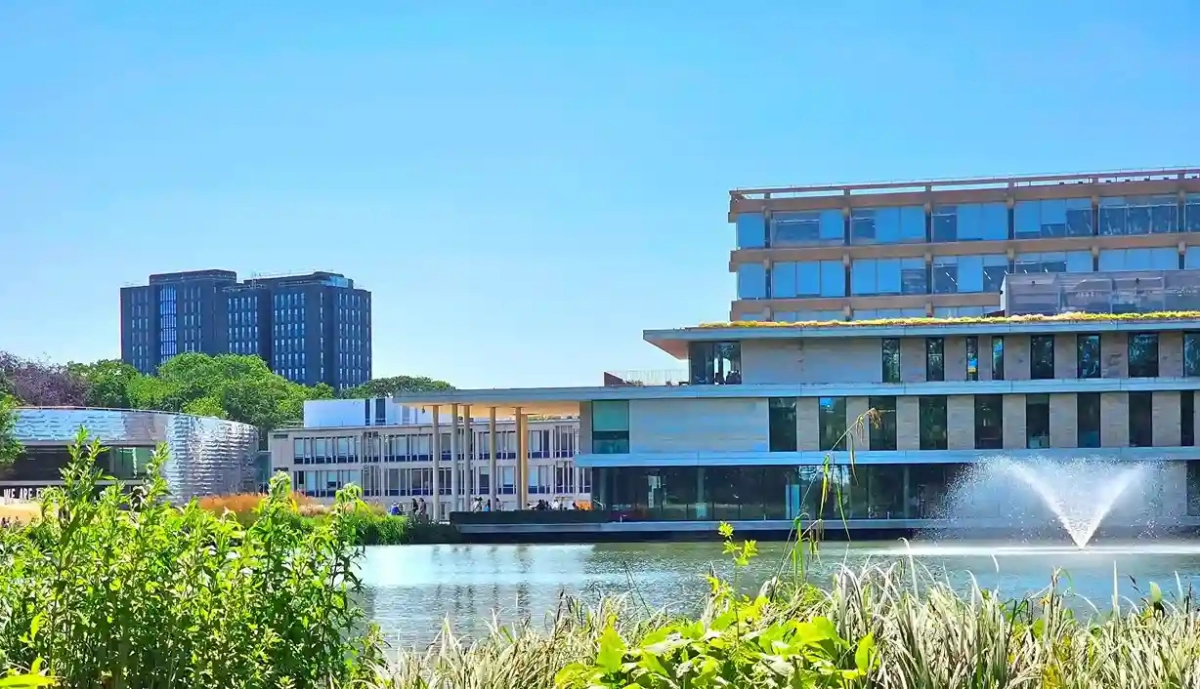 University of Essex